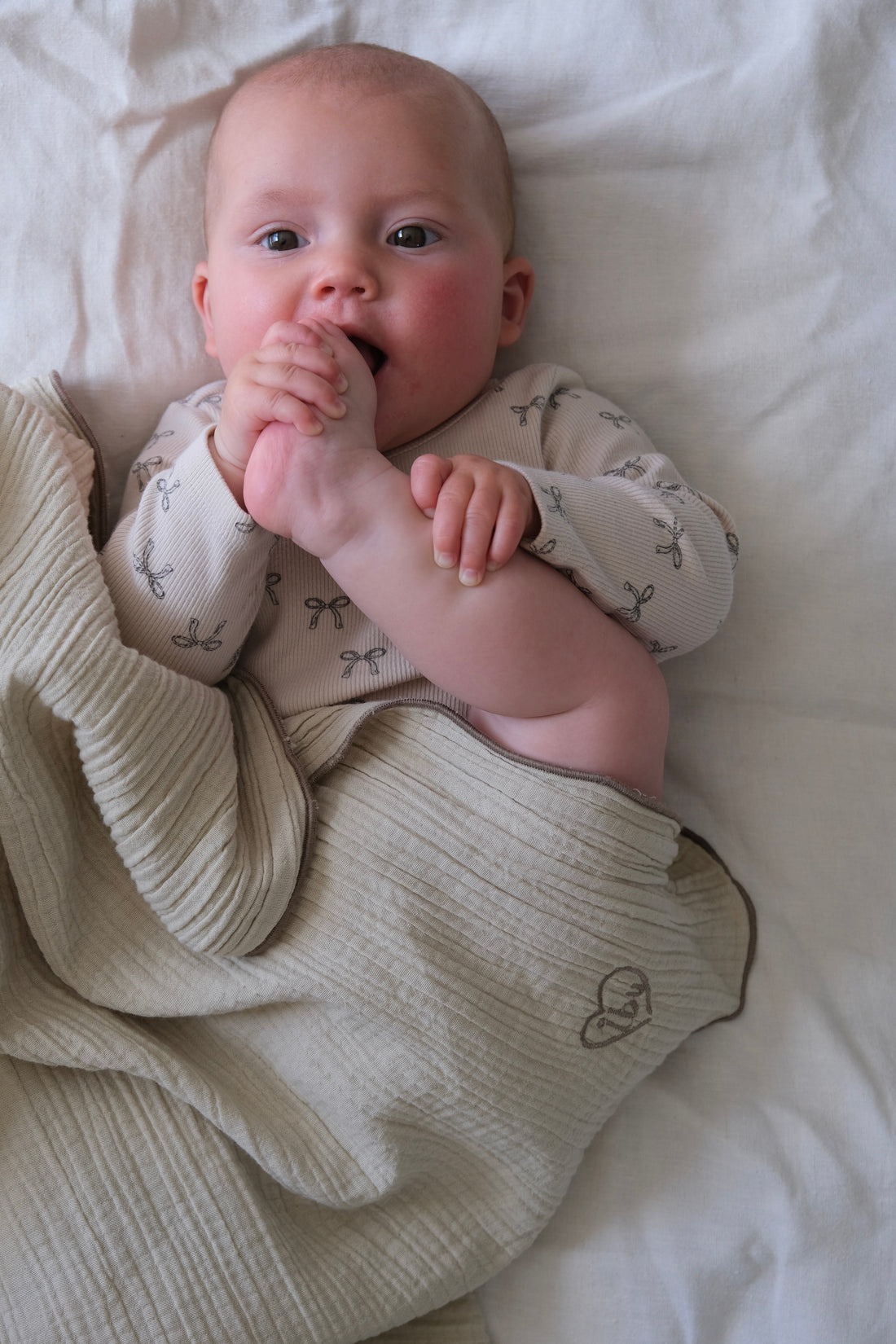 Organic Cotton Baby Blanket